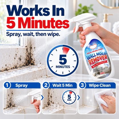 Mold & Mildew Remover Spray